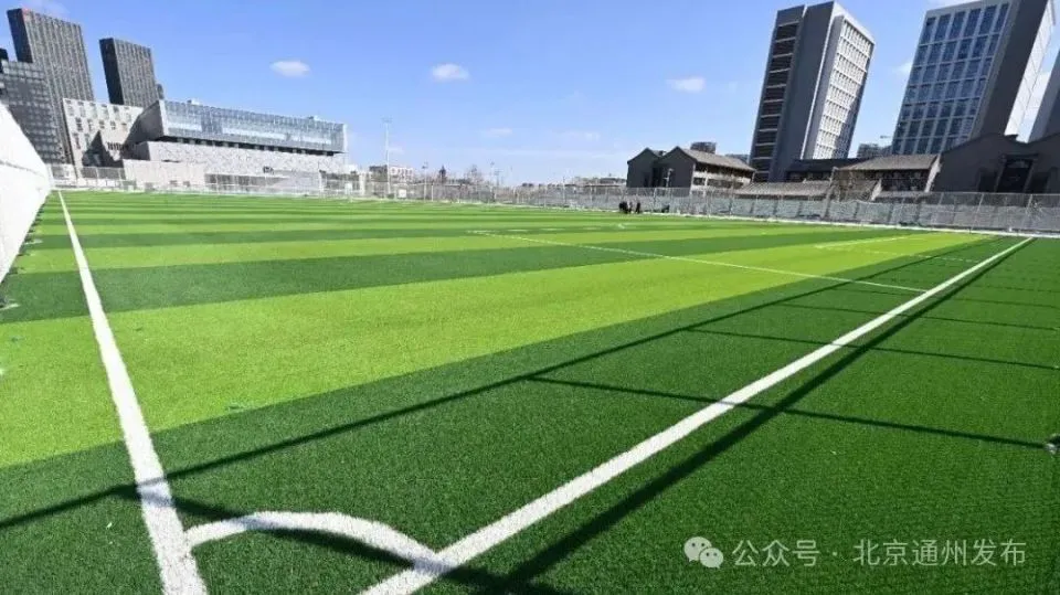 制定篮球交流计划以促进个人技能发展的方法_2